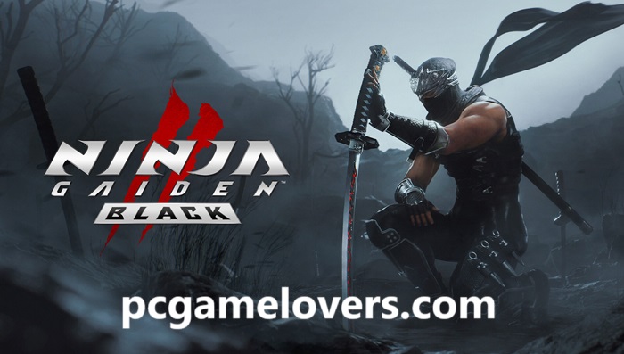 NINJA GAIDEN 2 Black Free Download For Windows 10